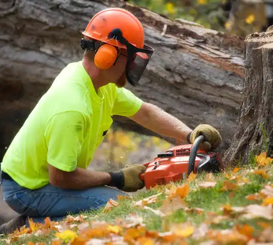 tree services Coloma